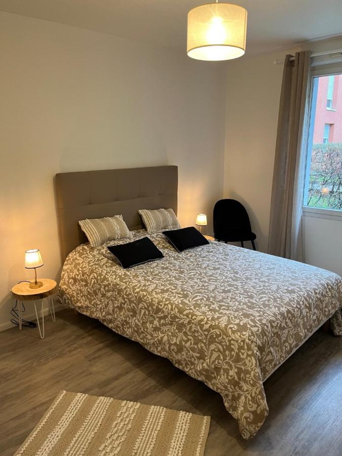 Le Gite De Marc - Parking Prive Gratuit + Terrasse Colmar Exterior photo